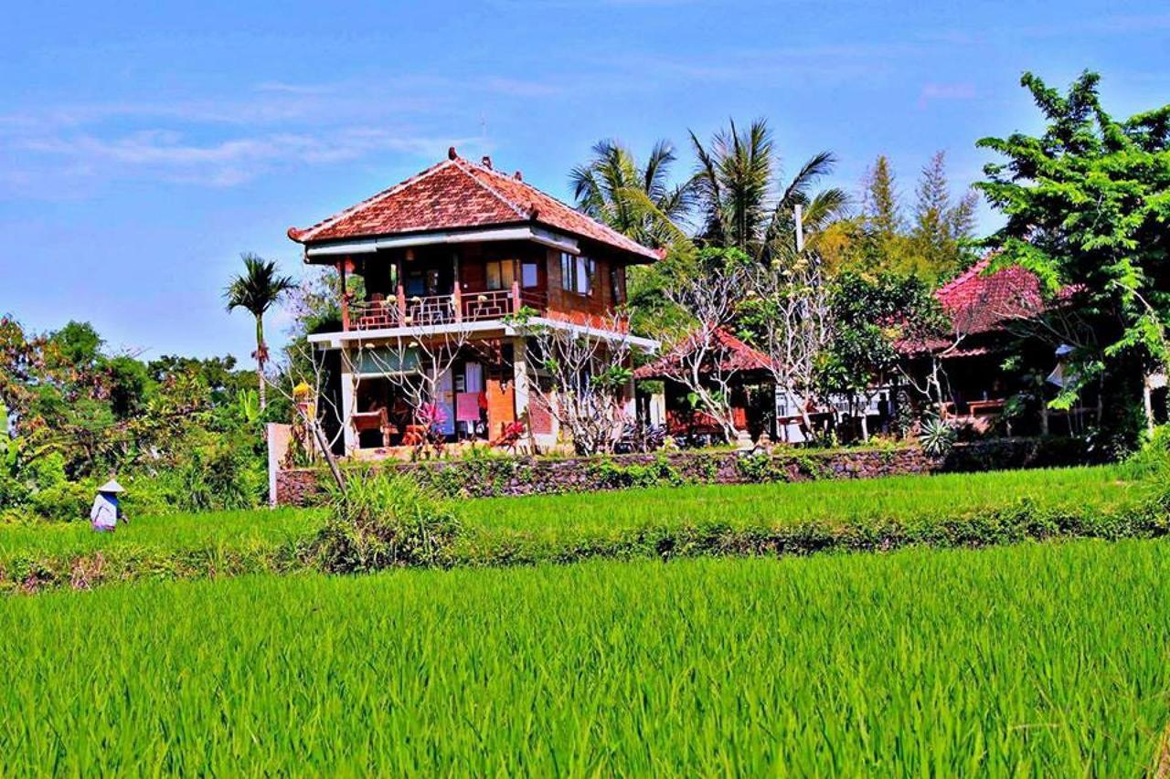 White Villa Ubud Exterior photo