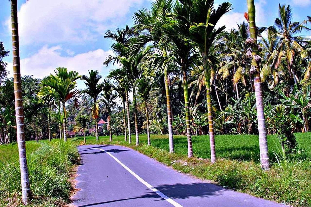 White Villa Ubud Exterior photo