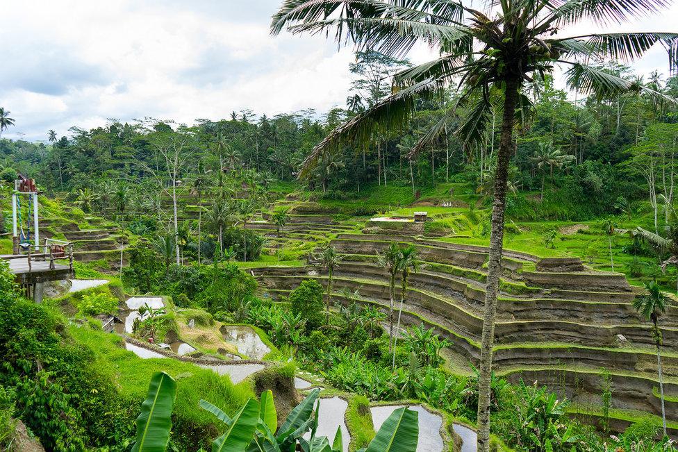 White Villa Ubud Exterior photo